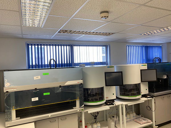 setting up lab testing equipment